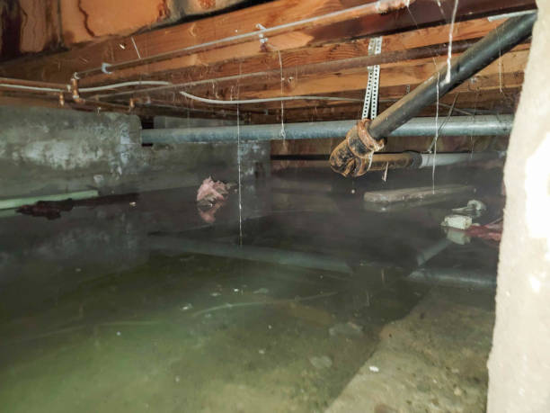 Local water damage restoration in MI
