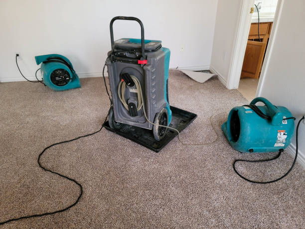 Best Local water damage restoration  in Hillsdale, MI