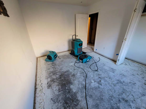 Best Water damage contractors near me  in Hillsdale, MI