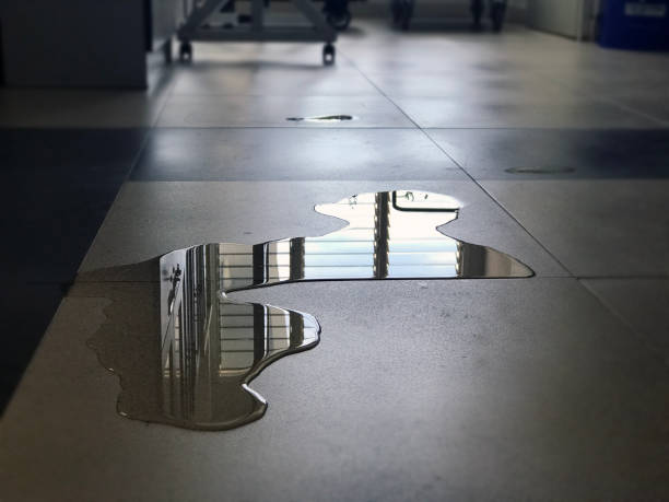 Best Water damage restoration near me  in Hillsdale, MI
