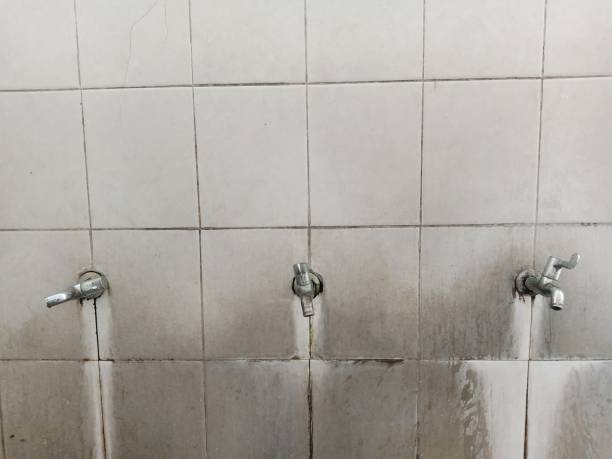 Best Fire Damage Restoration  in Hillsdale, MI