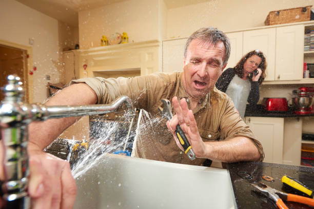 Best Professional water damage repair  in Hillsdale, MI